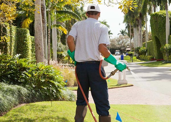 About Seagraves TX Pest Control